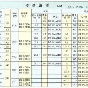 DTⅡ型傳動滾筒
